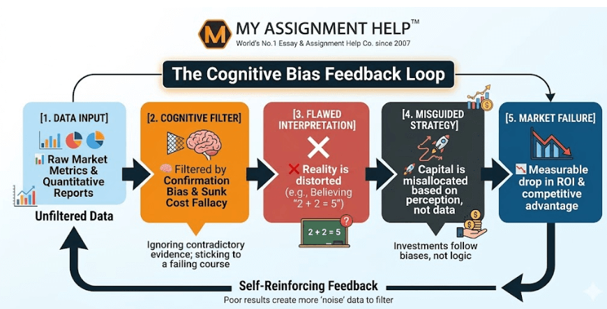 Data vs. Perception: Navigating Logical Fallacies in Business Strategy