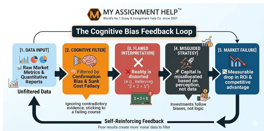 Data vs. Perception: Navigating Logical Fallacies in Business Strategy