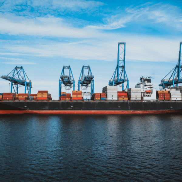 How King of Freight Helped Businesses Adapt to Changing Logistics Demands